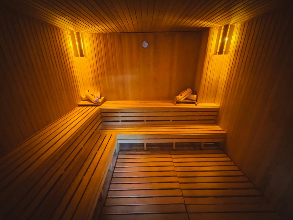 Donker sauna van hout