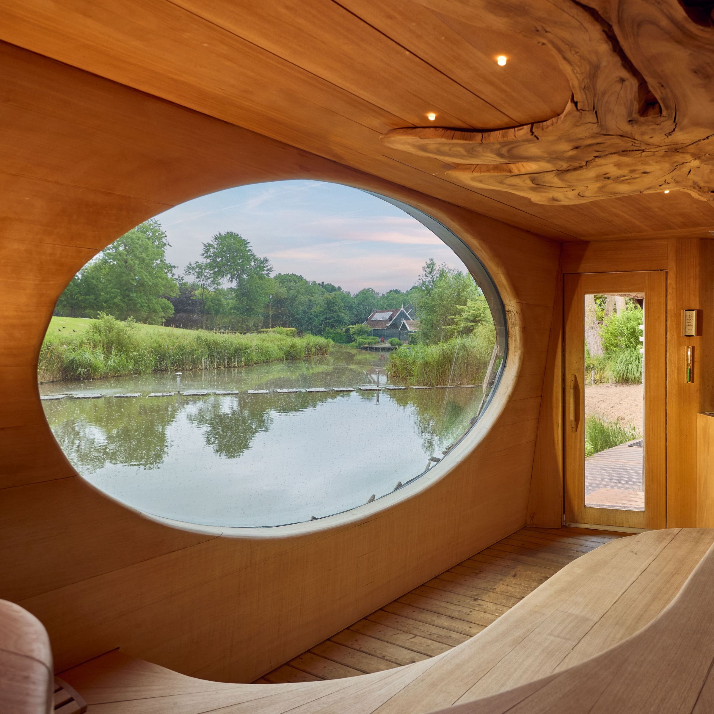 FRB-Vogelnest-04-min