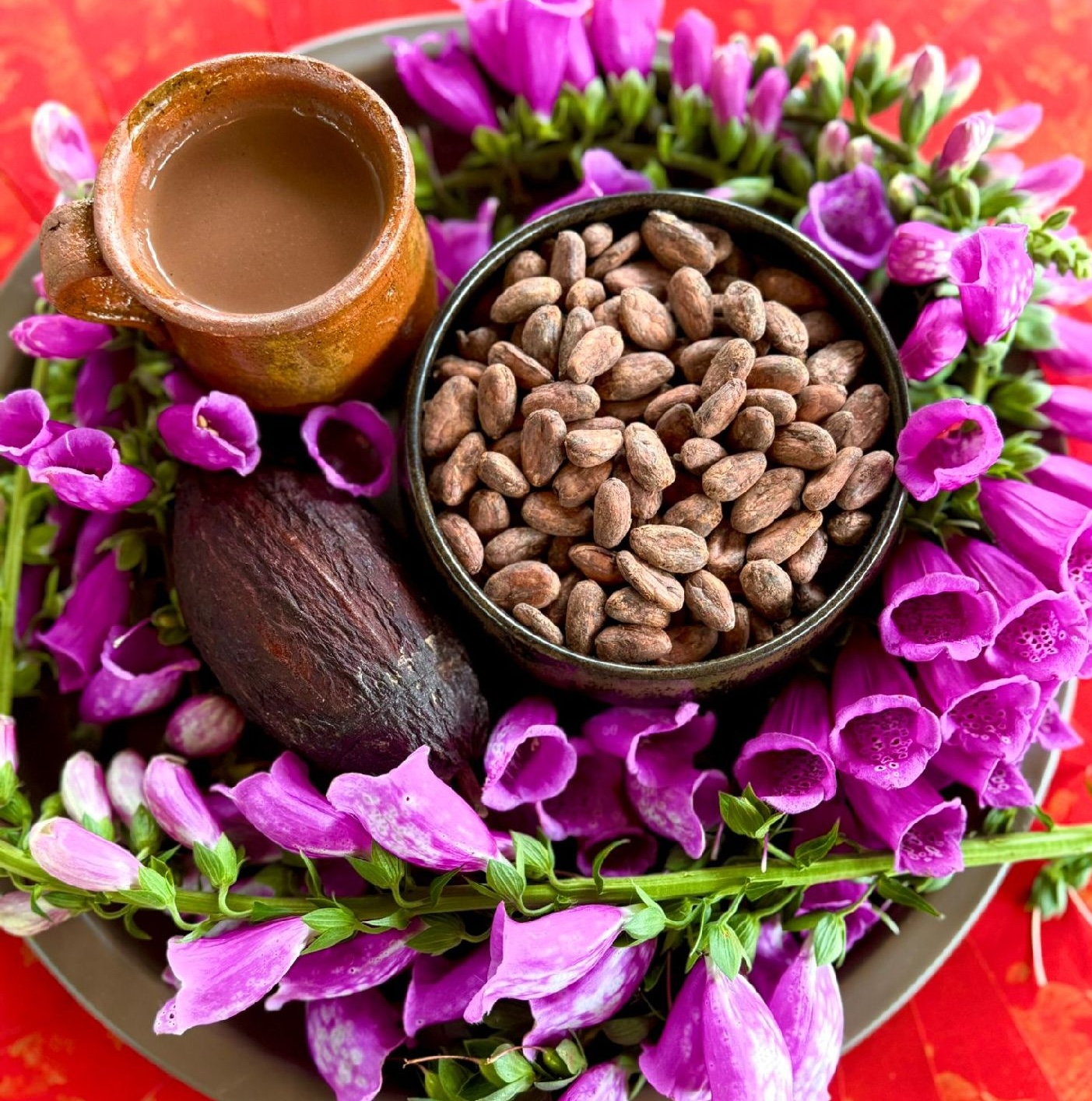 Cacao Ceremonie Bronsbergen