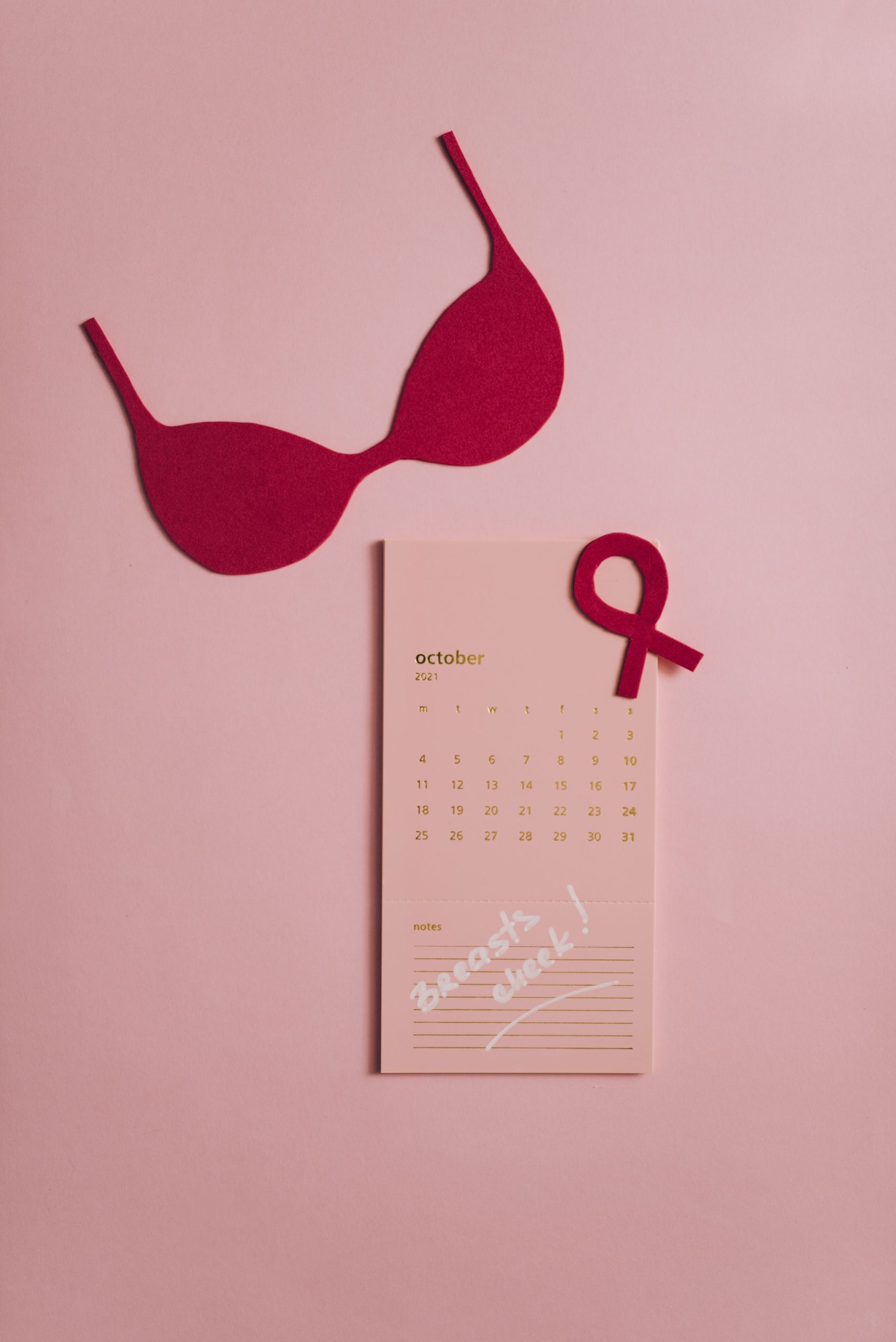 wellness borstkankerdag