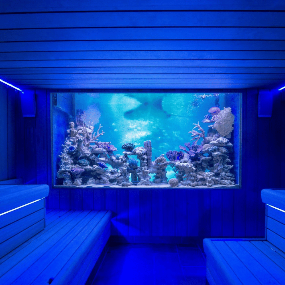Aquarium met vissen in een sauna